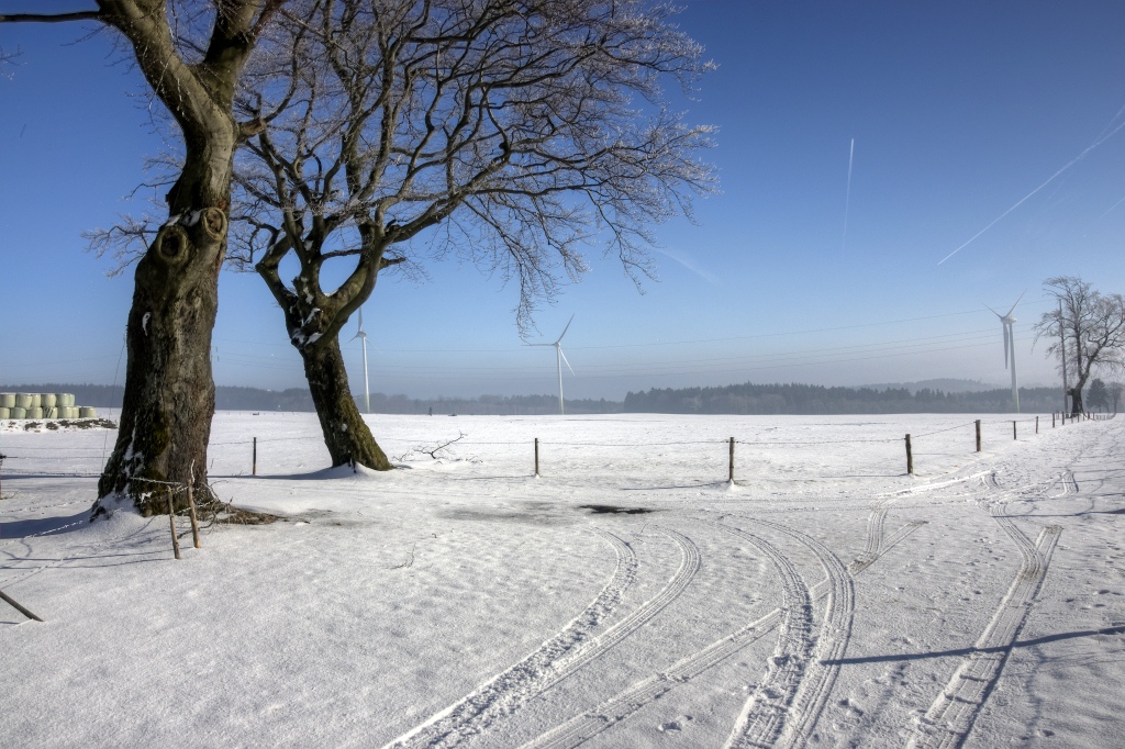 Inversionswetterlage in der Nordeifel am 31.01./01.02.2011