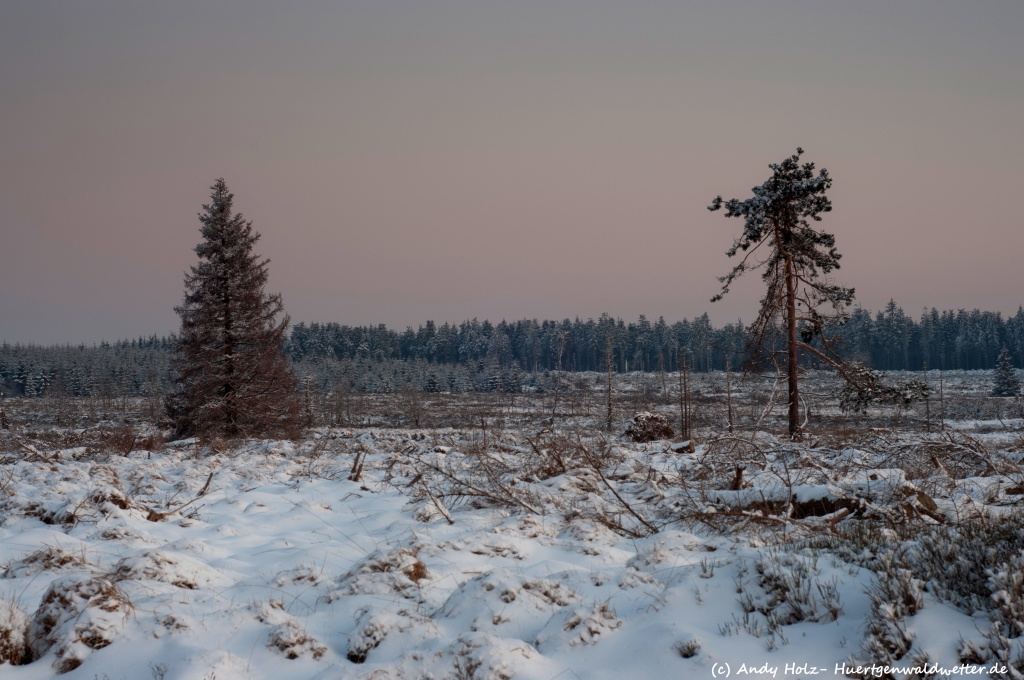 Traumhafte winterliche Stimmungen im Hohen Venn unter sibirischem Wetter (Anfang Februar 2012)