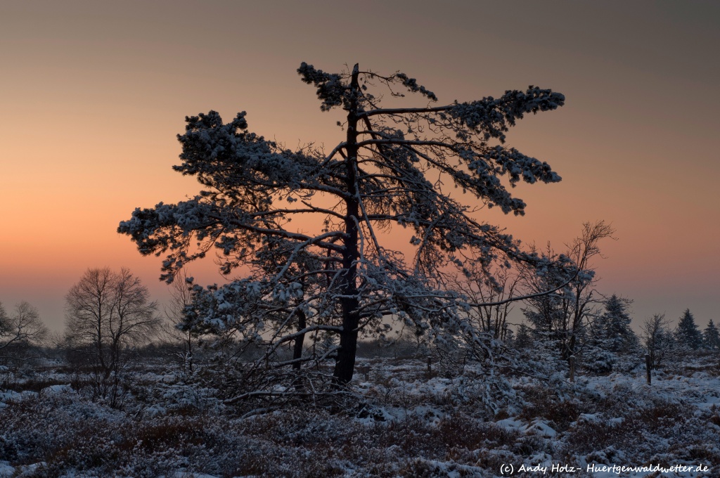 Traumhafte winterliche Stimmungen im Hohen Venn unter sibirischem Wetter (Anfang Februar 2012)