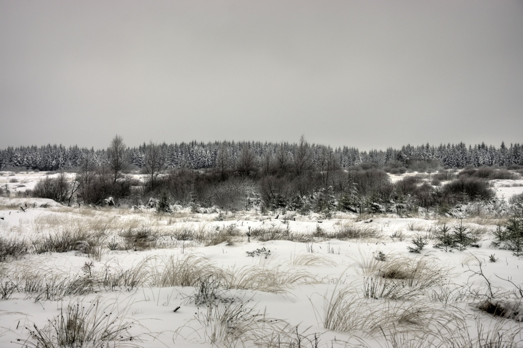 Winterimpressionen im Nahtsiefvenn (06.12.2010)