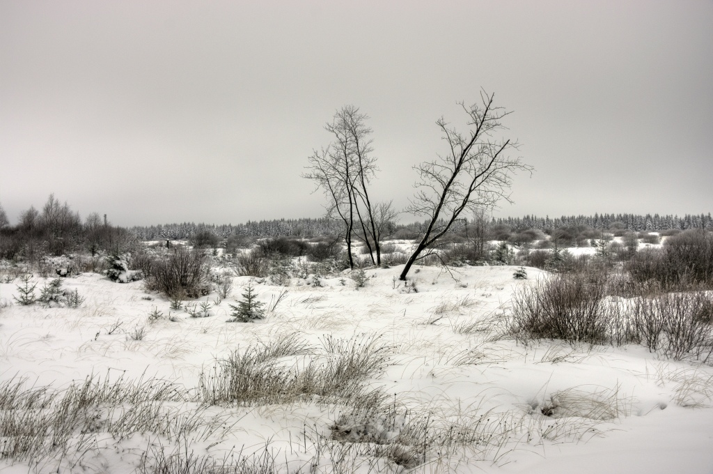 Winterimpressionen im Nahtsiefvenn (06.12.2010)