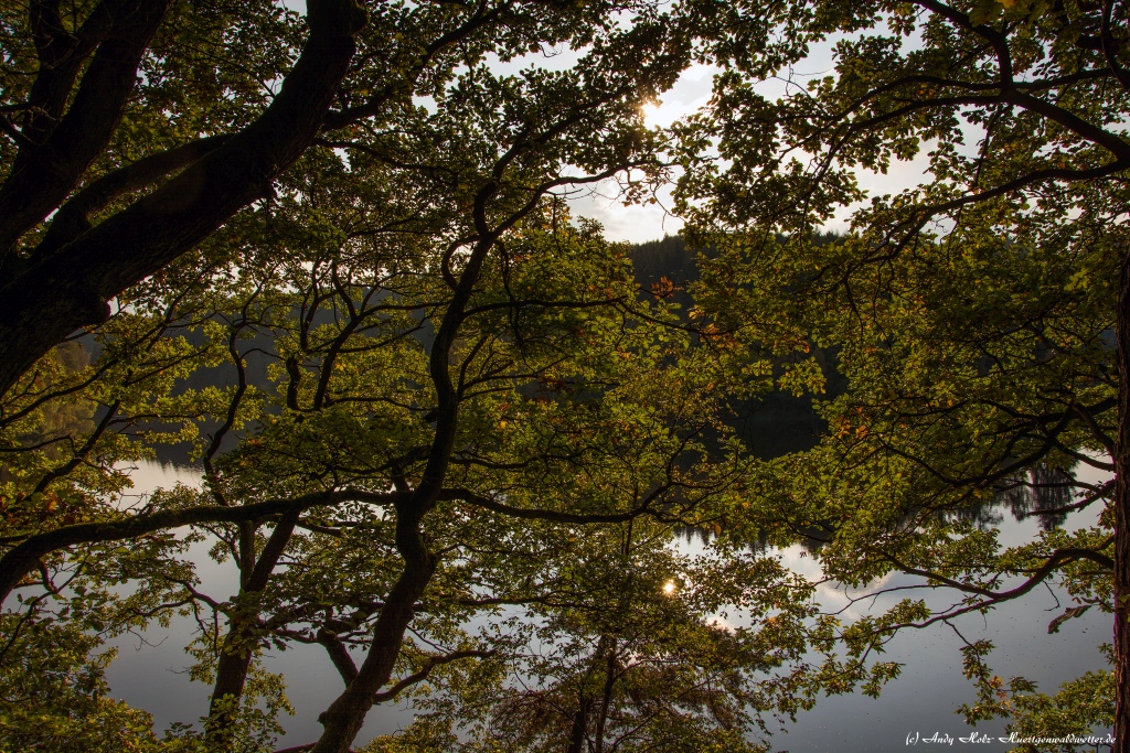 Die schönsten Momente des Herbstes 2014 in der Rureifel und im Sauerland