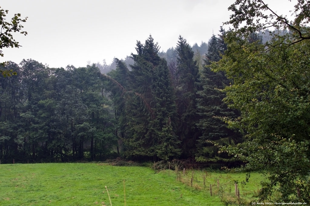 Schweres Gewitter mit Downburst über Hürtgenwald und dem Kalltal am 27.07.2012