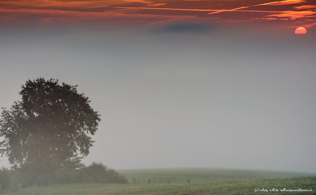 Traumhafter Sonnenaufgang über dem Nebel am Rursee (27.09.2013)