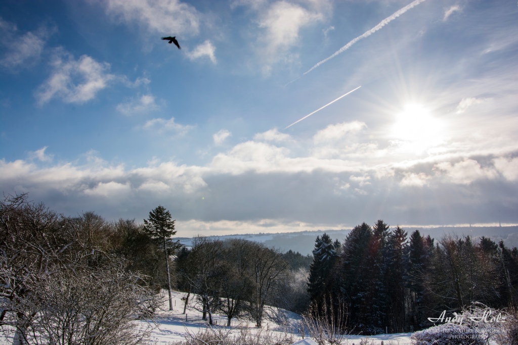 Der Winter 2014/2015 in der Rureifel und im Hohen Venn 