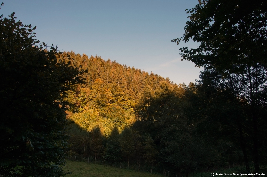 Vossenacker Wald/Richelbachtal