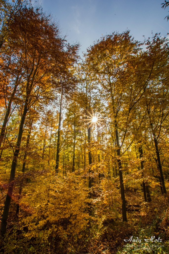 Die schönen Momente des Herbstes 2015 in der Eifel