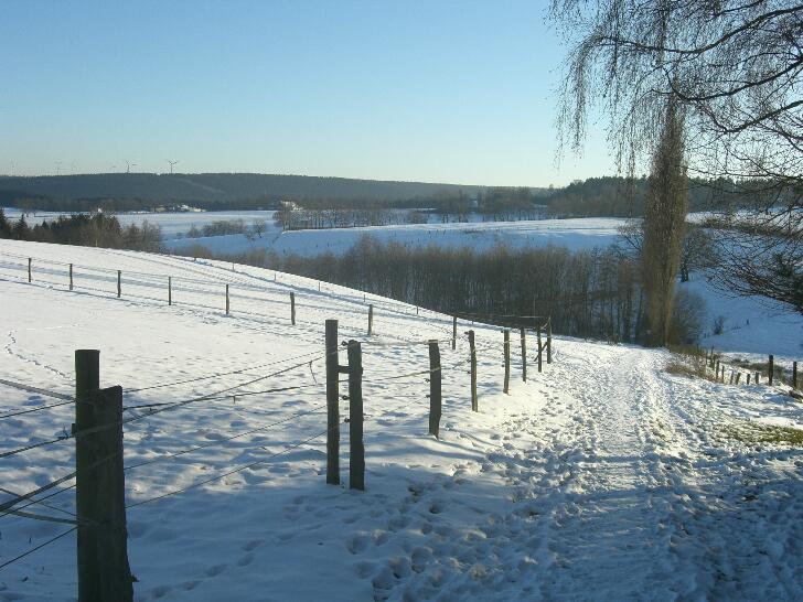 Kälte im Januar 2009