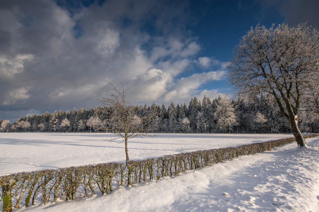 Der Winter 2018/2019 in der Eifelregion